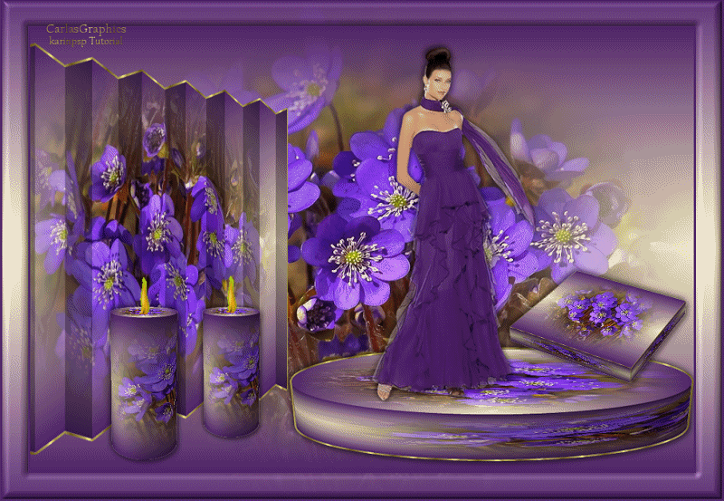 PLACE ADDITIONAL CODE HERE